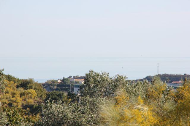 Apartamentos Rurales Santos Бенахарафе Номер фото